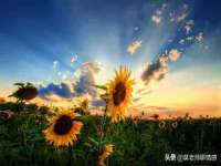 上海恭发贸易有限公司