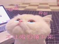 上海恭发贸易有限公司