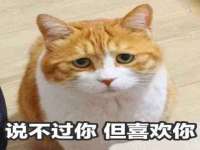 上海恭发贸易有限公司