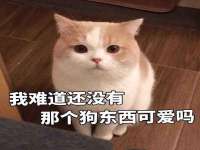 上海恭发贸易有限公司