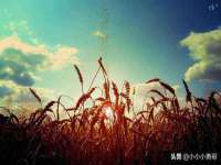上海恭发贸易有限公司