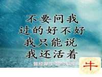 上海恭发贸易有限公司