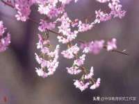 上海恭发贸易有限公司