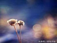 上海恭发贸易有限公司