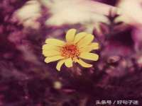 上海恭发贸易有限公司