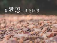 上海恭发贸易有限公司