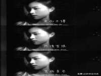 上海恭发贸易有限公司