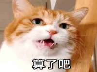 上海恭发贸易有限公司