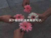 上海恭发贸易有限公司