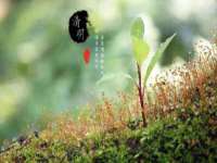 上海恭发贸易有限公司
