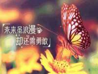 上海恭发贸易有限公司