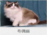 上海恭发贸易有限公司