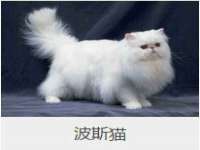 上海恭发贸易有限公司