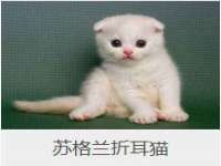 上海恭发贸易有限公司