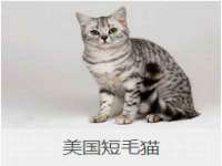 上海恭发贸易有限公司