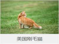 上海恭发贸易有限公司