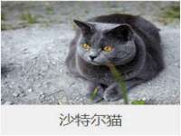 上海恭发贸易有限公司
