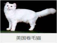 上海恭发贸易有限公司