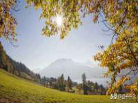 上海恭发贸易有限公司