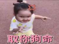 上海恭发贸易有限公司