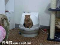 上海恭发贸易有限公司
