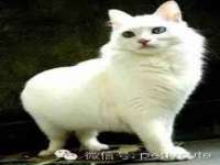 上海恭发贸易有限公司