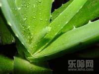 上海恭发贸易有限公司
