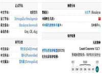 上海恭发贸易有限公司
