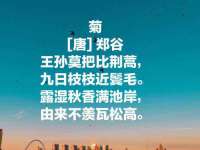 上海恭发贸易有限公司