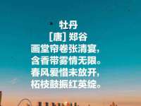 上海恭发贸易有限公司
