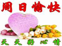 上海恭发贸易有限公司