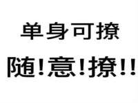 上海恭发贸易有限公司