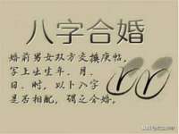 上海恭发贸易有限公司