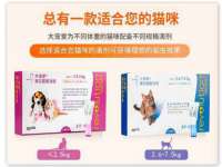 上海恭发贸易有限公司