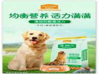 上海恭发贸易有限公司