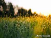 上海恭发贸易有限公司