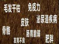 上海恭发贸易有限公司