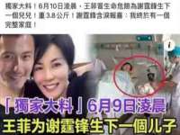上海恭发贸易有限公司