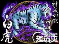 上海恭发贸易有限公司