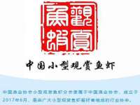 上海恭发贸易有限公司