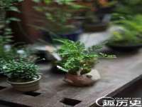 上海恭发贸易有限公司