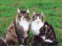 上海恭发贸易有限公司