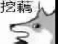 上海恭发贸易有限公司