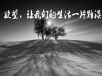 上海恭发贸易有限公司