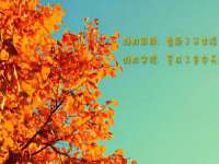 上海恭发贸易有限公司