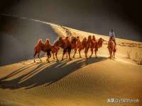 上海恭发贸易有限公司