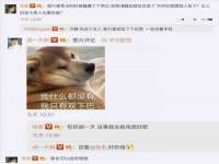 上海恭发贸易有限公司