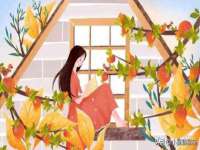 上海恭发贸易有限公司