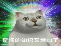 上海恭发贸易有限公司