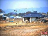 上海恭发贸易有限公司